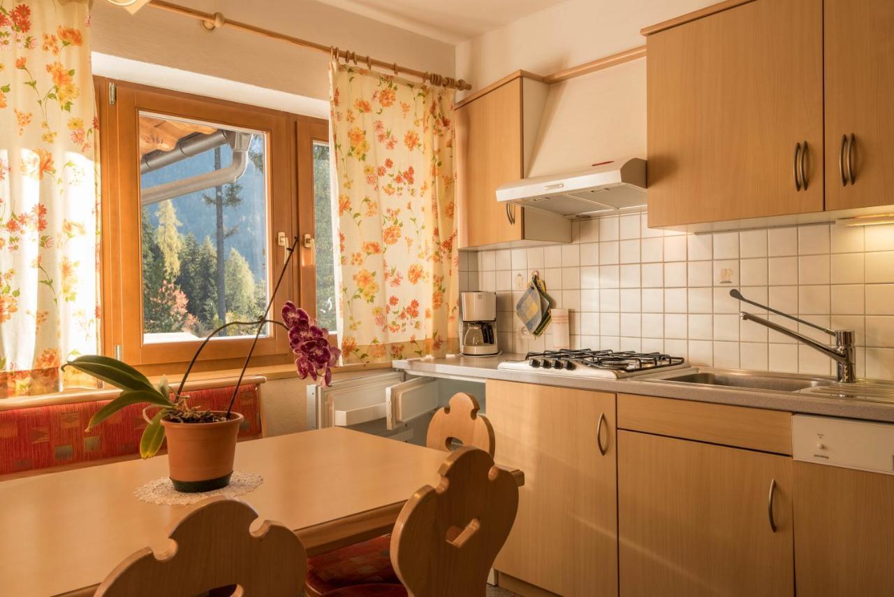 Ferienwohnung Sella Seis シウジ エクステリア 写真